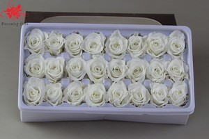 Wholesale real preserved rose stabilized natural preserved fresh flowers for Valentines day