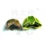 Import Wholesale Zinc Alloy Fish-skull Heads Fly-fish Bass Popper Dry Fly Fishing Lure Kit Pan-fish Baits from China