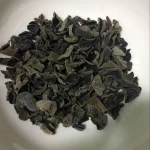 wild black fungus