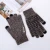 Import Women Winter Touch Screen Winter Gloves Autumn Warm Gloves Wrist Mittens Driving black winter gloves from China
