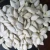 Import Xinjiang Brand Cheap And Good Quality Snow White Pumpkin Seeds from China