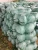 Import New Crop of Fresh Vegetables Fresh Round and Flat Cabbages from South Africa