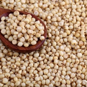 Wholesale White Quinoa Grains for Bulk Buyer - Organic