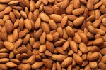 Almond Nuts
