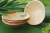 Import Areca leaf plates from Vietnam