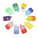 VASY MINI 600puffs Disposable Vape with TPD compliant