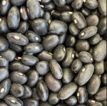Black Kidney Beans Light Speckled High Quality Black Kidney Beans Cheap Price