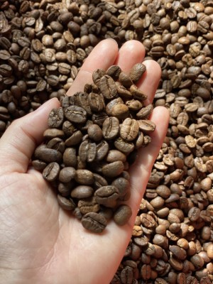 Green Coffee Beans - Unwashed/natural (color Sorter) Arabica S16