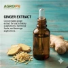 Ginger extract