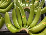 Banana, Fresh Fruits