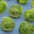 Import New Crop of Fresh Vegetables Fresh Round and Flat Cabbages from South Africa