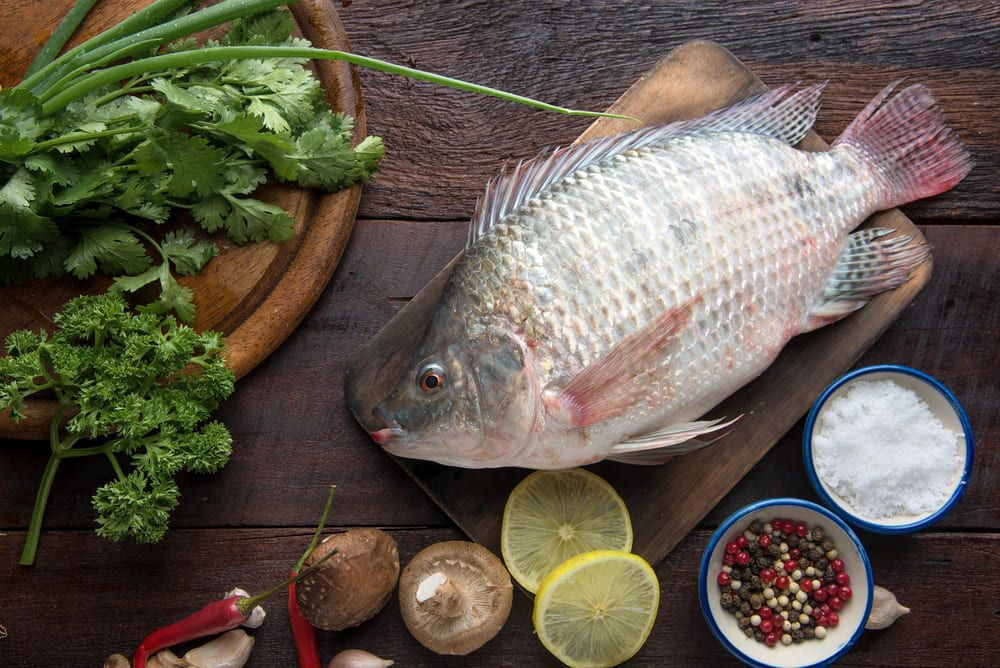 Buy Egyptian Fresh Tilapia Fish, Mullet Fish from Evergreen Export ...