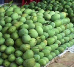 Cheap whole sale mangoes