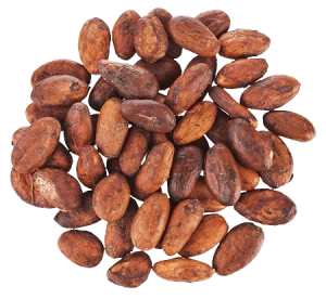 Indonesia (Balinese) Cocoa Beans