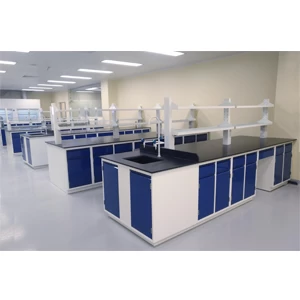 High Quality Acid Resistant Laboratory Bench Hospital Lab Tables School With Cabinet Lab
