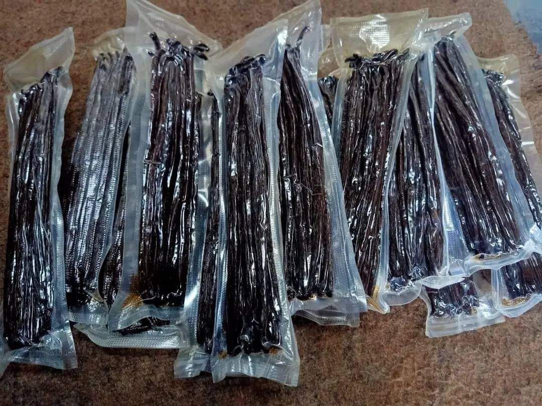 Buy Vanilla Beans from Green Creek Eco farm Ltd., Uganda
