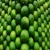 Import Premium Fresh Brazilian Lime Tahiti  Flavorful from Brazil