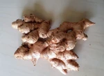 Available in both fresh and dried Organic Ginger