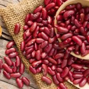 Wholesale Dried Dark Red Kidney Bean