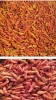 Dry pepper