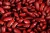 Import Wholesale Dried Dark Red Kidney Bean from USA