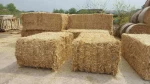 Wheat Straw