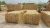 Import Quality Wheat Straw Animal Feed in Large & Small Bales from Pakistan