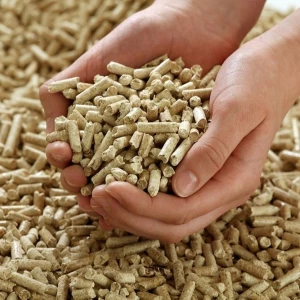 Rice Husk Pellet Emerging Crisis Supply For Animal Bedding And Biomass Renewable Energy