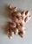 Import Available in both fresh and dried Organic Ginger from India