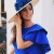 Import Royal Blue Satin Mother Of The Bride Dresses Plus Size One Shoulder Short Sleeves Keen Length Women Wedding Party Gowns from China