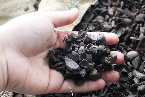 Buy Palm Kernel Shell from PT.ASIA PRIMA TAMA, Indonesia | Tradewheel.com