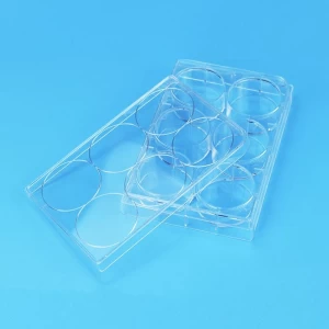 Sterile 6 well cell culture plate surface TC treated flat bottom