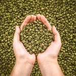 Robusta Green Beans