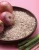 Import Dehydrated White/Red/Pink Onion Minced from India