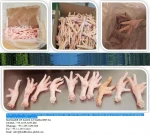 Forzen Chicken Paws and Feet