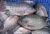 Import Egyptian Fresh Tilapia Fish, Mullet Fish from Egypt