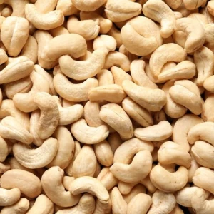 Cashew Nuts W180 W240 W320 W450 Quality Cashew Nuts