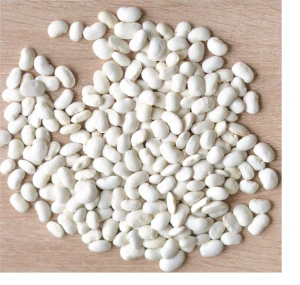 Premium Quality Butter bean white kidney beans