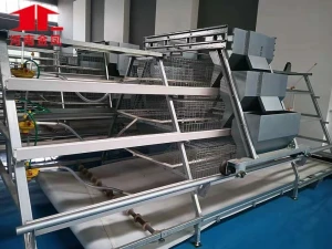 A Type Automatic 3 Tiers  Pullet Cage Hot-Dip Galvanized Brooder Cage