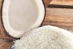 LOW AND HIGH FAT DESICCATED COCONUT POWDER