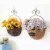 Import 100% hand woven wicker hanging flower basket from China