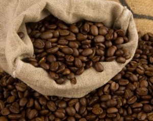 100%  Roasted Thailand  Arabica Coffee beans