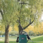 1.35 Gal/5L Electric Sprayer USB Rechargeable Handle Portable Garden Sprayer