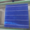 18.8% 5BB-156P  polycrystalline silicon solar cell