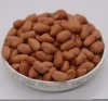 2020 crop peanut Raw Peanuts Kernel