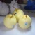 2020 New Corp Top Quality Best Price Ya Pears fresh pears from china