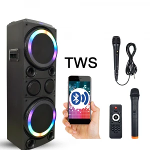 2021 Feiyang Professional  DJ Powered Speaker  DUAL 10&#x27;&#x27; woofer  SUPER Bass Ready to ROCK the HOUSE AL210-01