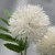 Import 3 heads dandelion Wedding Decor Chrysanthemum Flower Artificial Dandelion Flowers For Bouquet from China