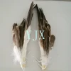 30-40cm chinese supplier hotsale feathers pheasant eagle feathers for carnival costumes