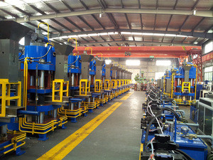 Buy 5kg 10kg Salt Block Hydraulic Automatic Feeding Salt Block Presses ...
